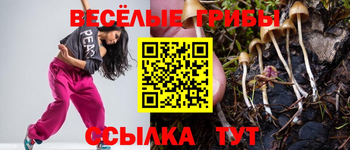 Псилоцибиновые грибы GOLDEN TEACHER Котельники